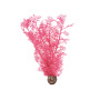 biOrb Horn Coral piccolo rosa 11,5 x 7,5 x 26 cm