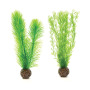 biOrb Feather Fern Set piccolo verde 11,5 x 3,2 x 25,6 cm