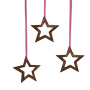 Deco Hanger Stars Open Set di 24