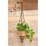 Artisan Conical Plant Basket - Small22 x 16 x 16