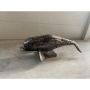 Animale 3D Beluga Lunghezza circa 200 cm